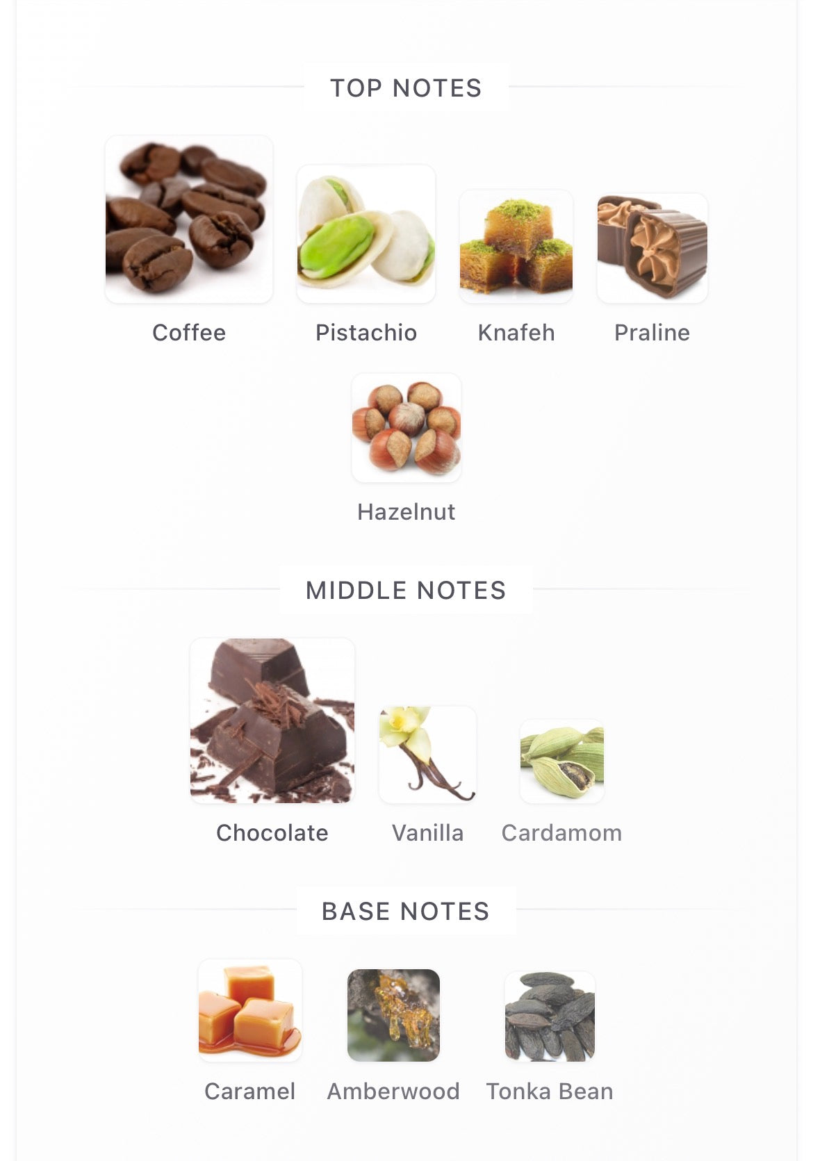 Odyssey DXB Chocolat