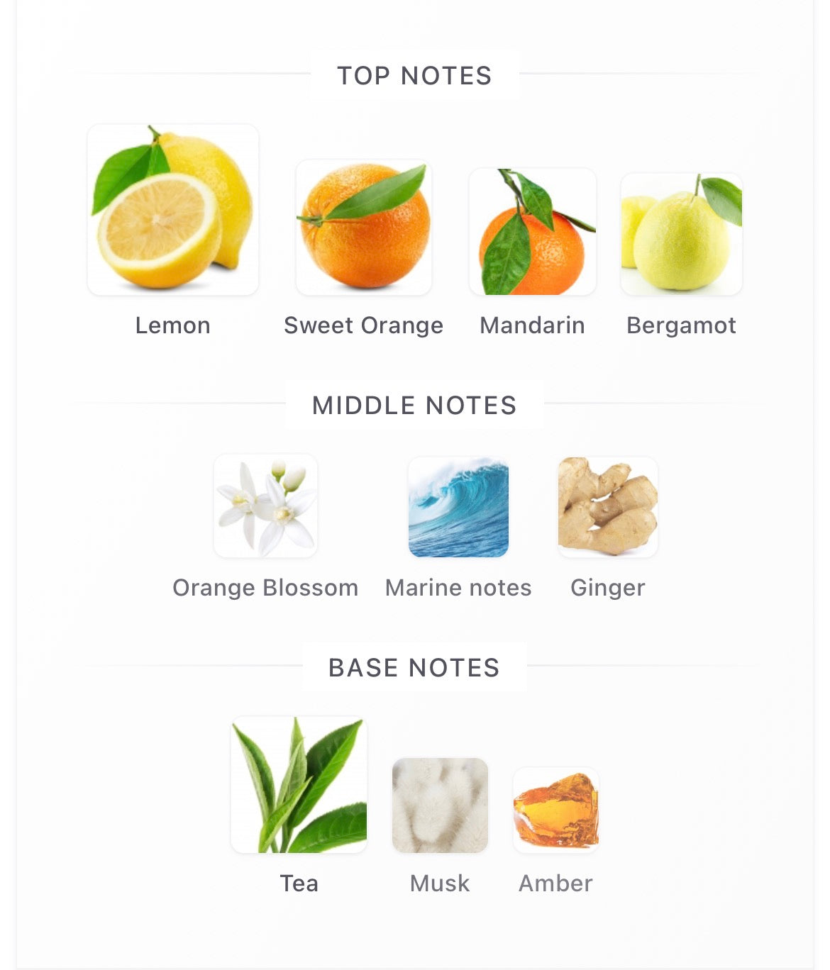 Odyssey Limoni 100ml