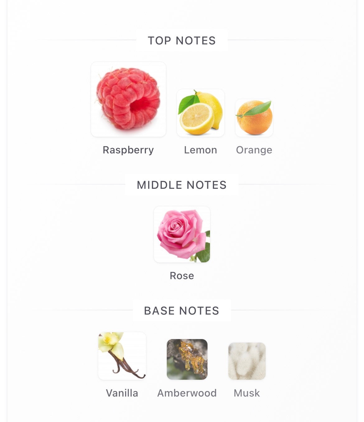 Your Touch for Women
