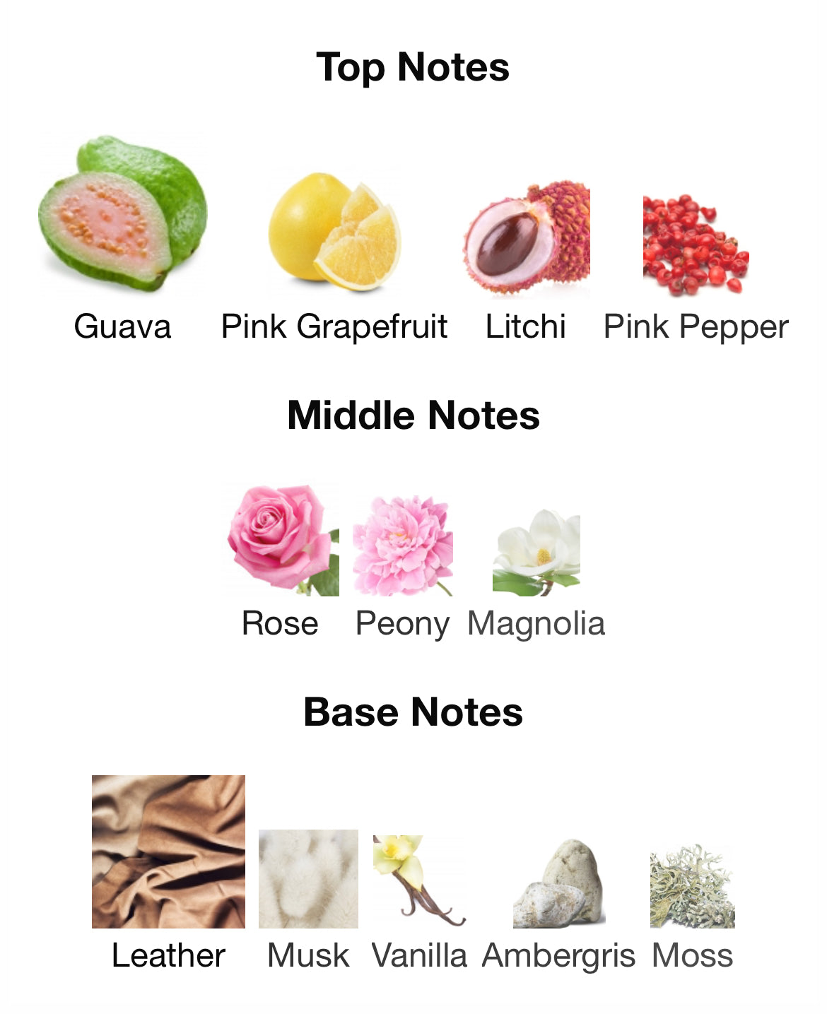 Ajwad Pink to Pink